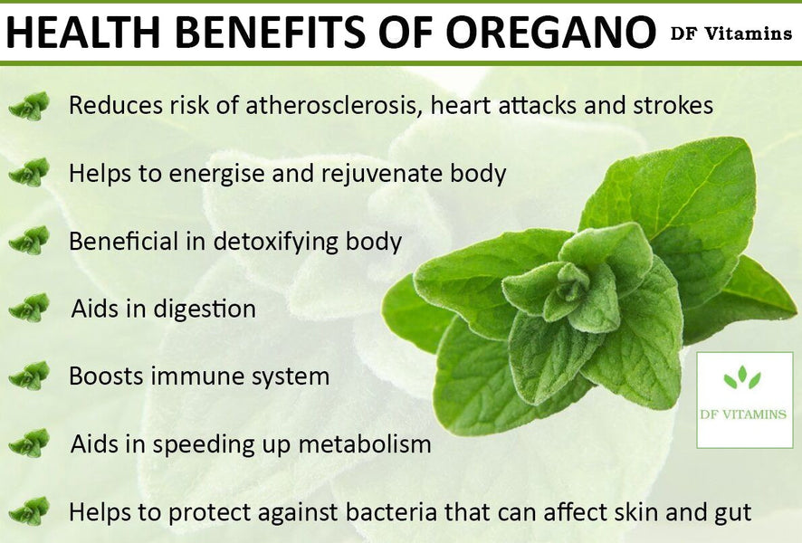 7 Benefits of Oregano Herb